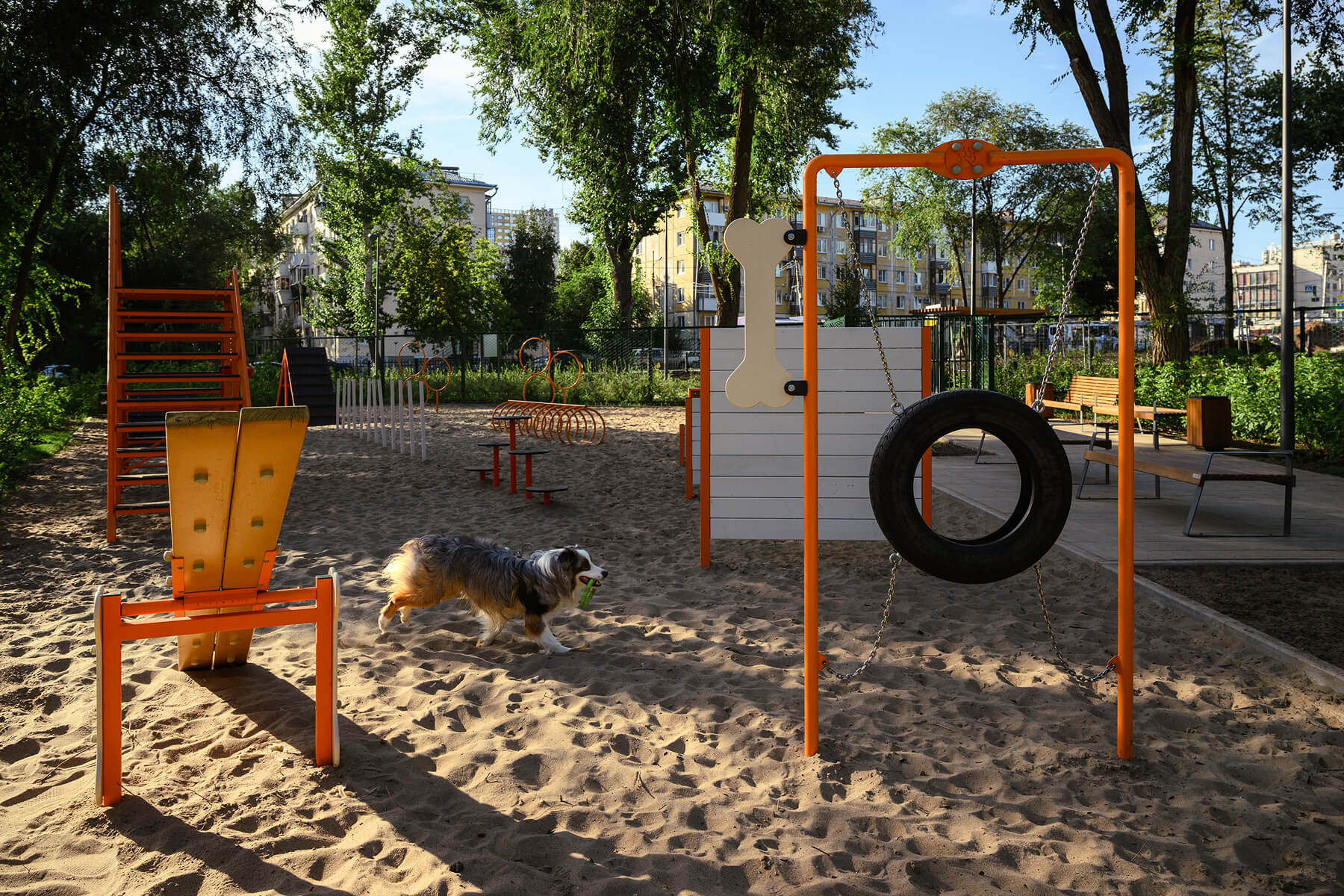 Превью новости