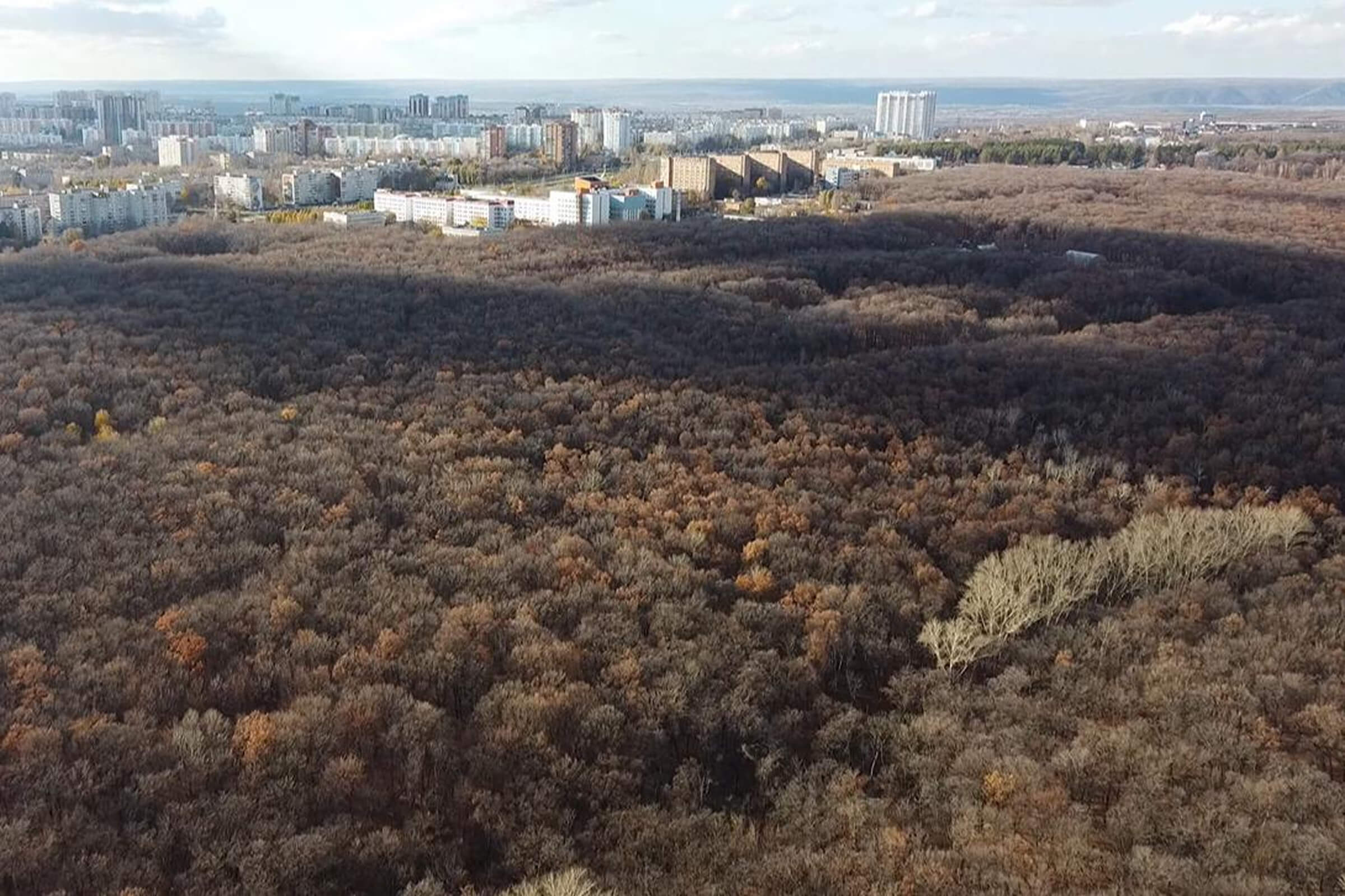 Парк 60-летия Советской власти, 2024